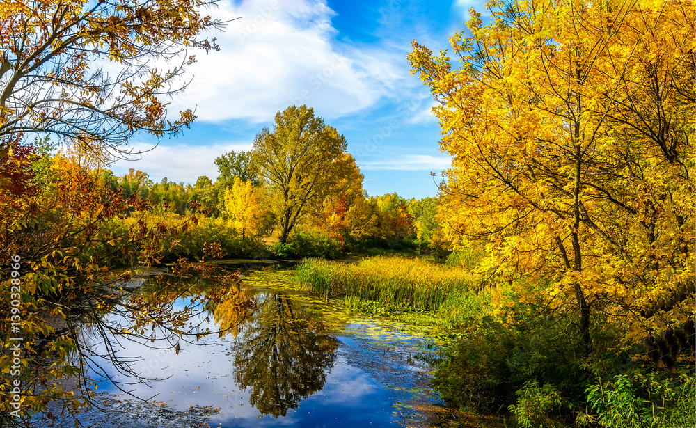 autumn in the park