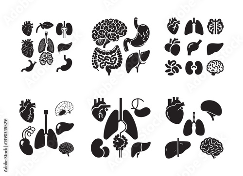 Human Organ Vector Pack Featuring Clean Outline and Solid Black Shapes