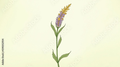 Amaranthus viridis is a cosmopolitan species in the botanical family Amaranthaceae and is commonly known as little amaranth or king amaranth.