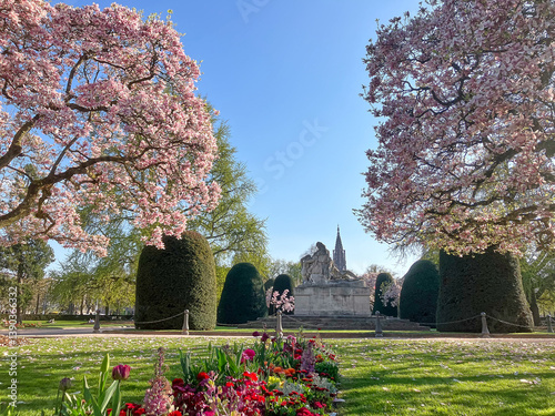 Place de la République in Strasbourg  in springtime with beautiful magnolia flowers.