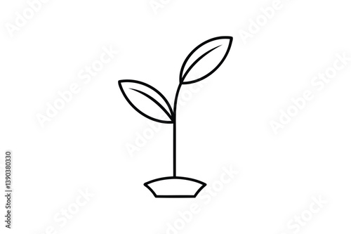 plant in a pot