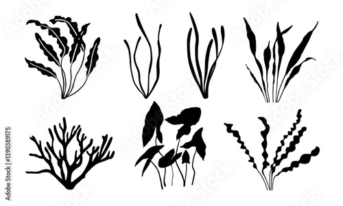 underwater plants, submerged plants, coral reef. Abstract Algae seaweed shapes. silhouettes  underwater leaves
