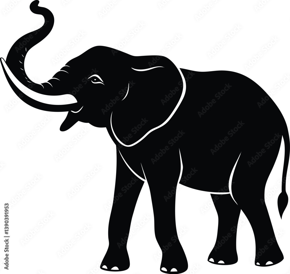 Obraz premium elephant isolated on white background