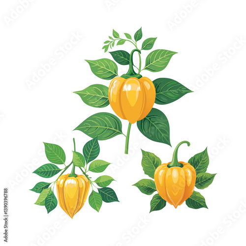 Close up of ripe yellow habanero peppers with green leaves, isolated on white background