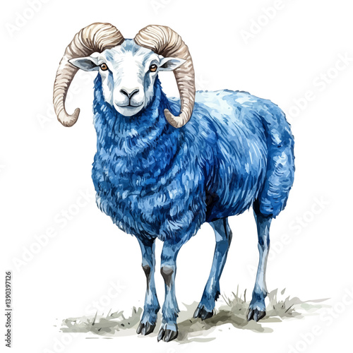 A watercolor painting of a Bharal Blue sheep, isolated on a white background. Bharal Blue sheep vector

