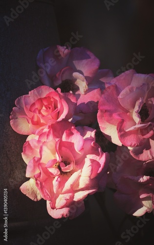 bouquet of pink roses