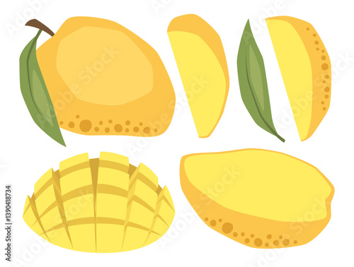 Vector isolated set of mangos, whole, half and slices