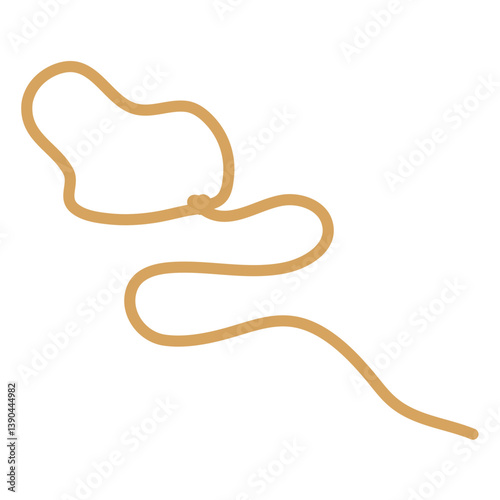 Lasso rope. Vector illustration.