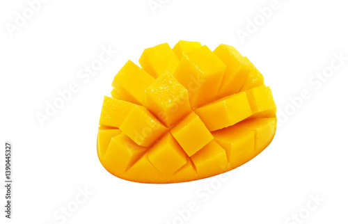 マンゴー イラスト リアル　白バック