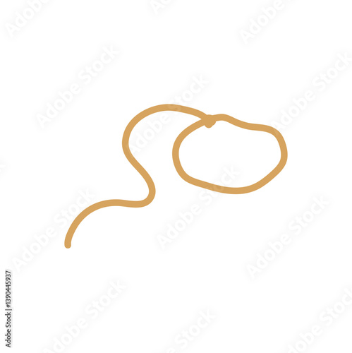 Lasso rope. Vector illustration.