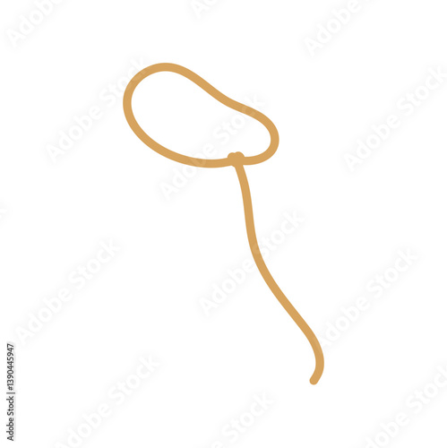 Lasso rope. Vector illustration.
