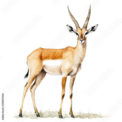 A watercolor painting of an Antelope, isolated on a white background. Antelope vector

