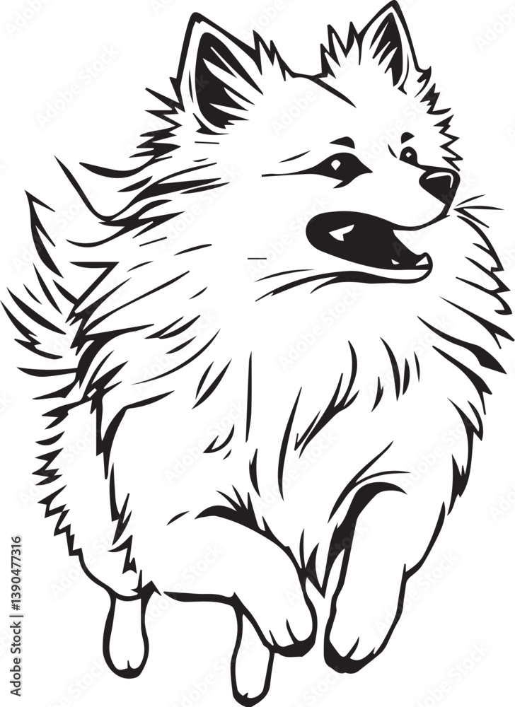 German Spitz. Hand drawn vector illustration German Spitz. Hand drawn vector illustration