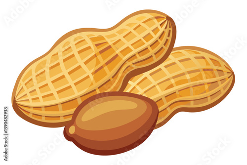 A group of raw and roasted peanuts is displayed, highlighting their distinctive textures and colors on a clean, white backdrop, emphasizing their natural appeal.