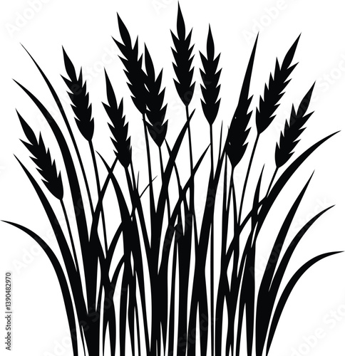 Silhouette of Wheat Plants Against a White Background 