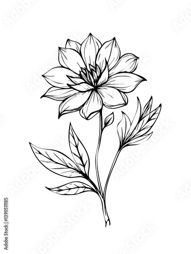 Ultimate Line Art SVG Collection – Minimal, Abstract & Boho Designs