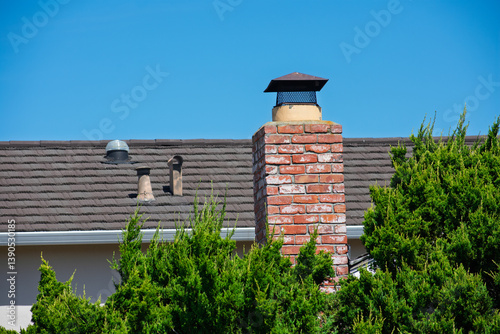 Red brick chimney with a black cap rises above a shingled roof, framed by green shrubs