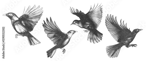 Birds vintage photocopy art brutalist retro vector on an isolated background. 