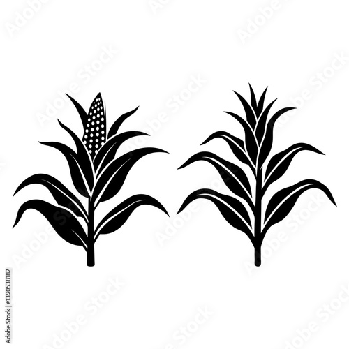 Corn plant vector and Silhouette of corn plants art collections