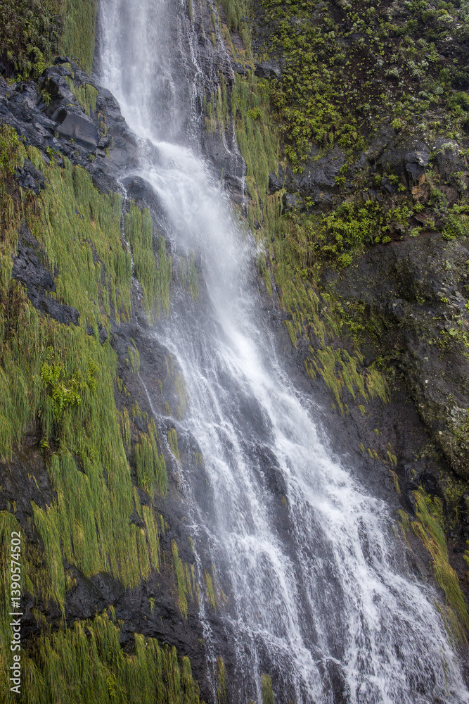 Exploring the stunning Madeira Agua d'Alto waterfall with lush greenery and cascading water Exploring the stunning Madeira Agua d'Alto waterfall with lush greenery and cascading water