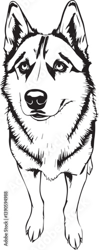 Husky dog. Hand drawn vector illustration