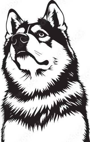 Husky dog. Hand drawn vector illustration