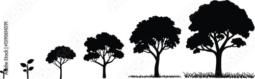  Tree Growth Evolution Silhouette, Plant Life Cycle Vector Illustration