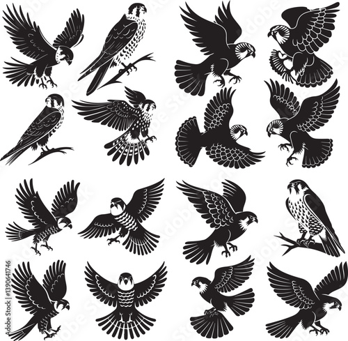 brid vector set