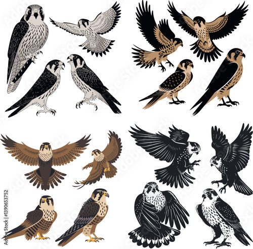 set of birds