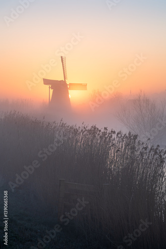 Obraz na płótnie Dawn at a traditional, Dutch windmill in the spring fog. w salonie