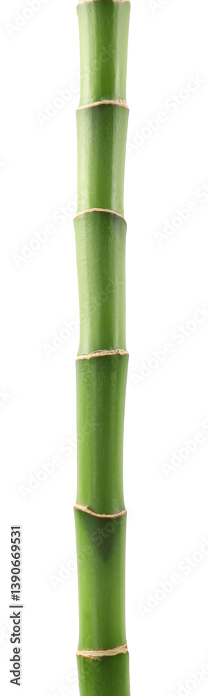 Fototapeta premium Beautiful green bamboo stem isolated on white