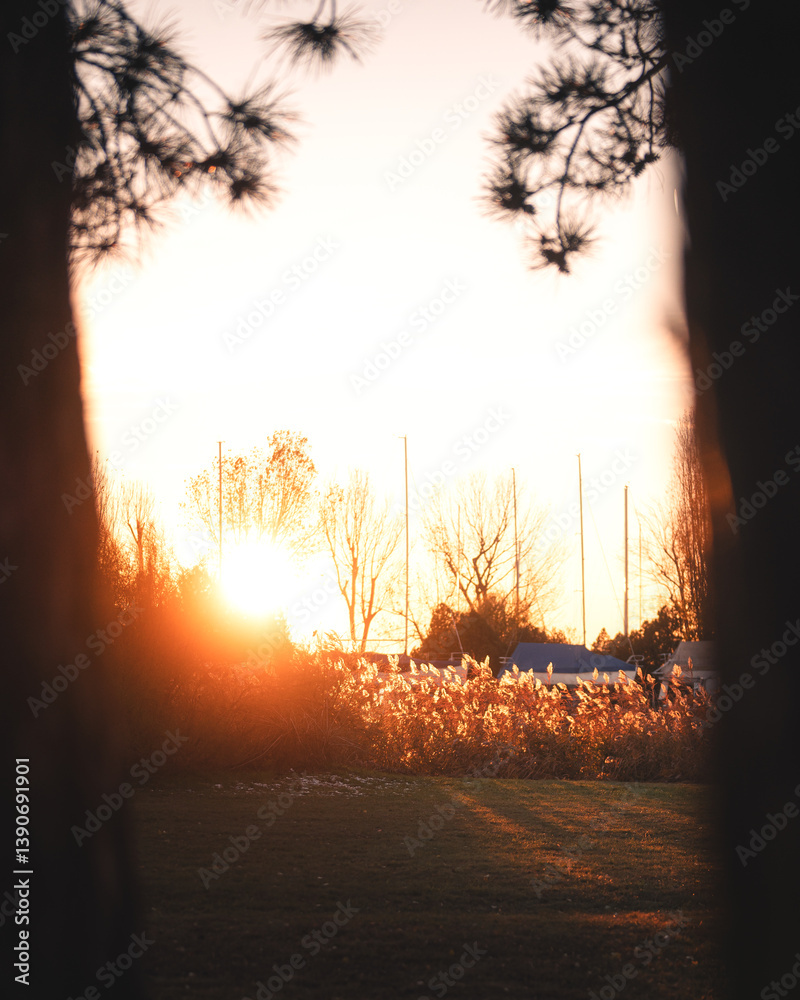 Summer Sunset at Lake Balaton with Trees and Marina in Warm Light