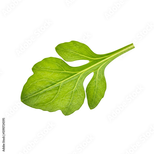 fresh green leaves