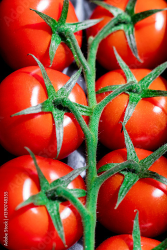 juicy red tomatoes on a vine