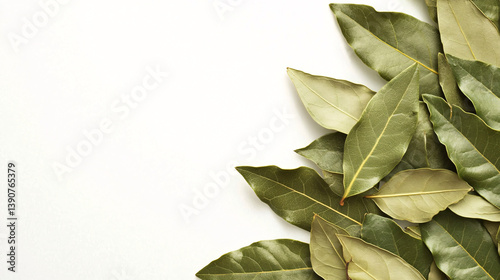Earthy Green Bay Leaves Perfectly Arranged for Culinary Inspiration