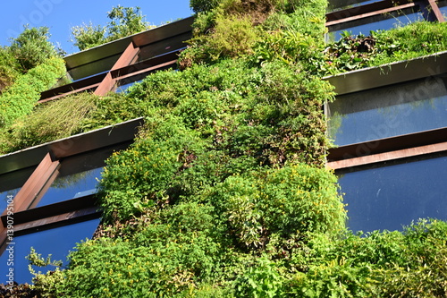 green facade with vertical garden on building modern eco-friendly building with vertical greenery and plants growing on the facade. green architecture concept promoting sustainability, biodiversity