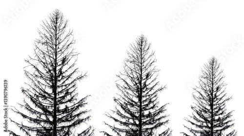 Set of dead trees