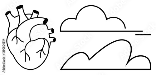 Anatomical heart paired with simplistic clouds and horizontal accents. Ideal for themes thumbs up health, weather, emotions, science, nature, simplicity, and contrast. Flat simple metaphor