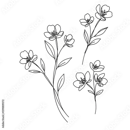 Minimalist black and white line art of individual flowers and foliage
