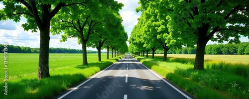 Scenic countryside road surrounded by lush green trees in a rural landscape,  travel,  horizon