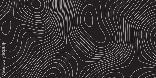 Luxury Abstract Contour Line Artwork Featuring Elegant Wavy Topographic Patterns on a Rich Black Background, Designed for Modern Branding, Visual Identity, and Artistic Presentation