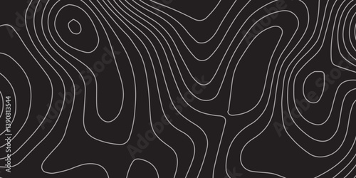 Luxury Abstract Contour Line Artwork Featuring Elegant Wavy Topographic Patterns on a Rich Black Background, Designed for Modern Branding, Visual Identity, and Artistic Presentation
