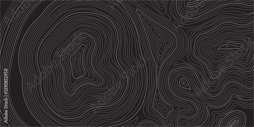 Luxury Abstract Contour Line Artwork Featuring Elegant Wavy Topographic Patterns on a Rich Black Background, Designed for Modern Branding, Visual Identity, and Artistic Presentation