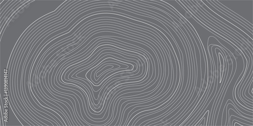Abstract Contour Map Illustration with Gentle White Wave Lines: A Topographic-Inspired Vector Design Evoking Elevation, Depth, and Natural Terrain Forms