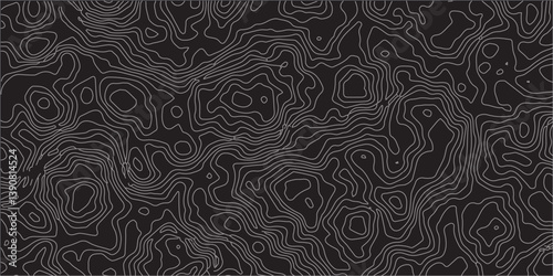 Luxury Abstract Topographic Line Art with Flowing Wavy Patterns on a Deep Black Background, Perfect for Modern Design, Sophisticated Branding, and High-End Creative Projects