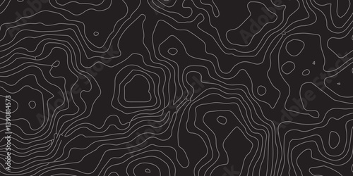 Modern Luxury Abstract Topographic Illustration with Graceful White Wave Lines on a Rich Black Surface, Created for Stylish Graphic Design and Sophisticated Art Concepts