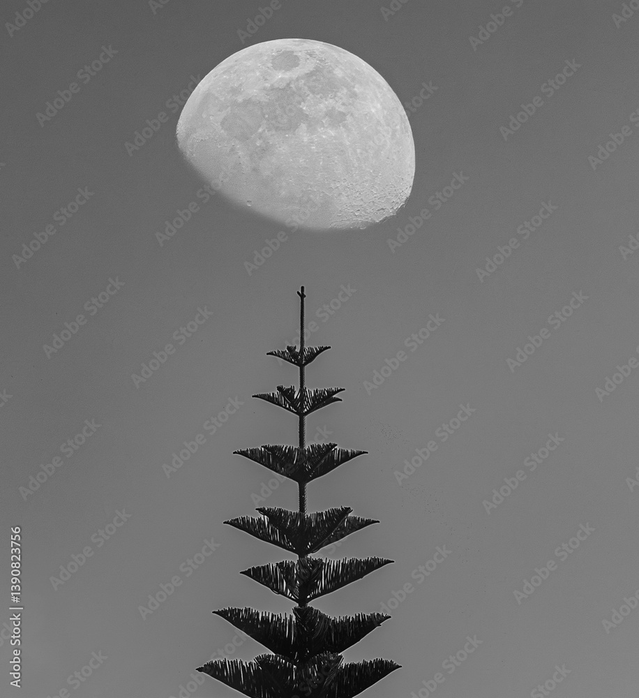 Crescent moon in different landscape compositions!