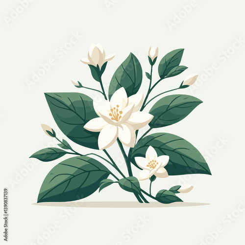 blossom, floral, jasmine, flower, spring, plant, nature, bloom, beautiful, white, beauty, fresh, garden, natural, background, flora, petal, blooming, summer, aroma, flowers, isolated, bud, decorative,