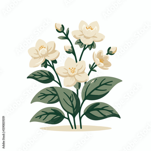 blossom, floral, jasmine, flower, spring, plant, nature, bloom, beautiful, white, beauty, fresh, garden, natural, background, flora, petal, blooming, summer, aroma, flowers, isolated, bud, decorative,