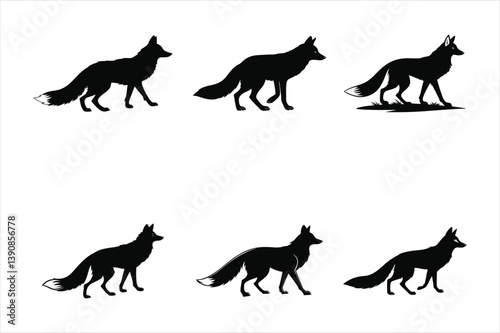 fox-standing